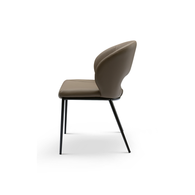 Cassia Chair